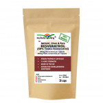 Resveratrol 500mg (50% Trans Resveratrol) from Japanese Knotweed by Holistic Valley (30 caps)
