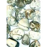 Tree Agate Tumblestone