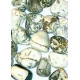 Tree Agate Tumblestone